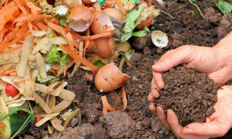 Kompost selber machen