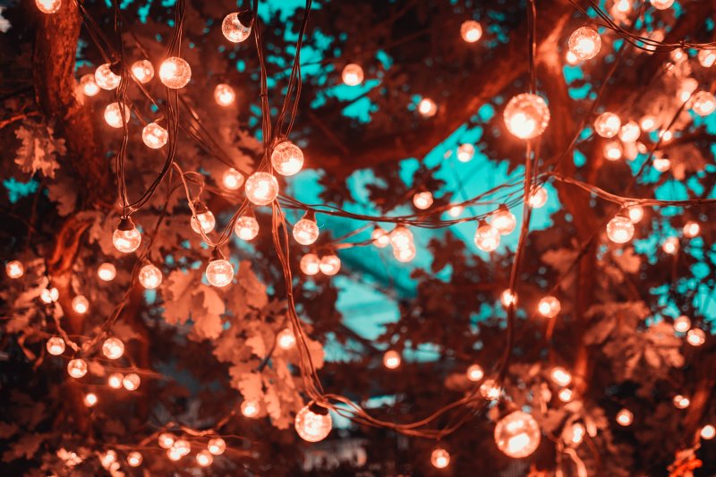 Beleuchteter Baum durch Lichterkette mit Glühbirnen 