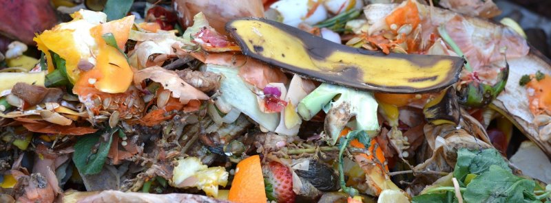 Küchenabfälle für Kompost benutzen